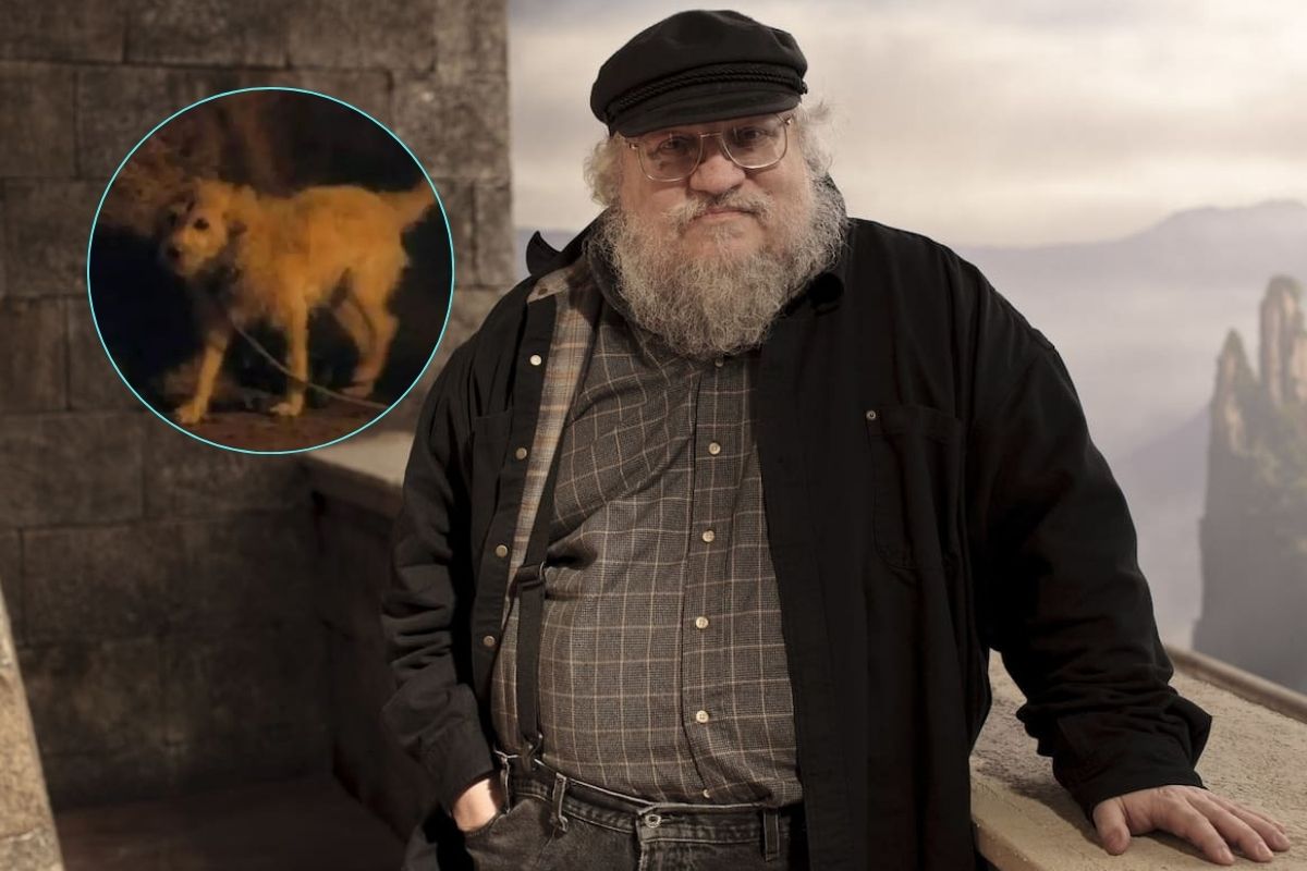 House Of The Dragon Mùa 2 Nhận Được Lời Khen Từ Tác Giả George RR Martin