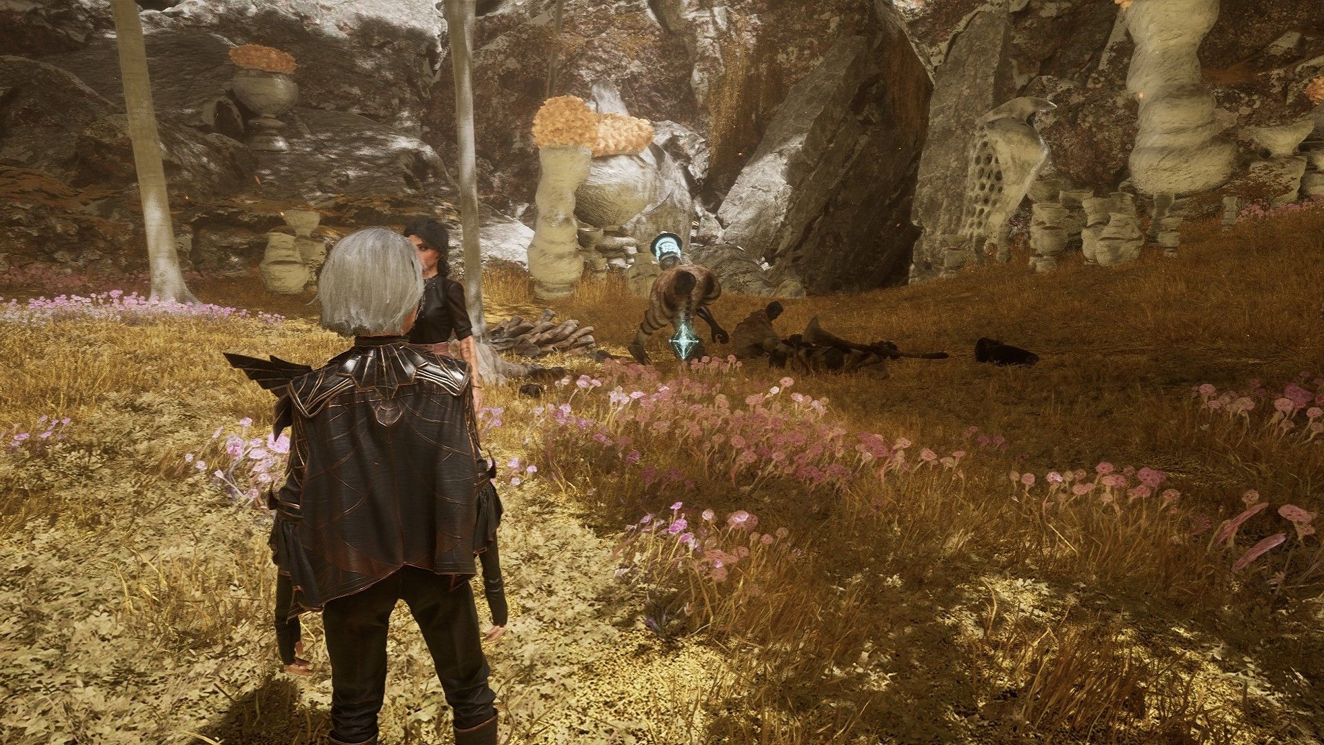 Clair Obscur: Expedition 33 - Hướng Dẫn Tìm Ra Toàn Bộ Nhật Ký Các Đoàn Thám Hiểm (Phần 3)