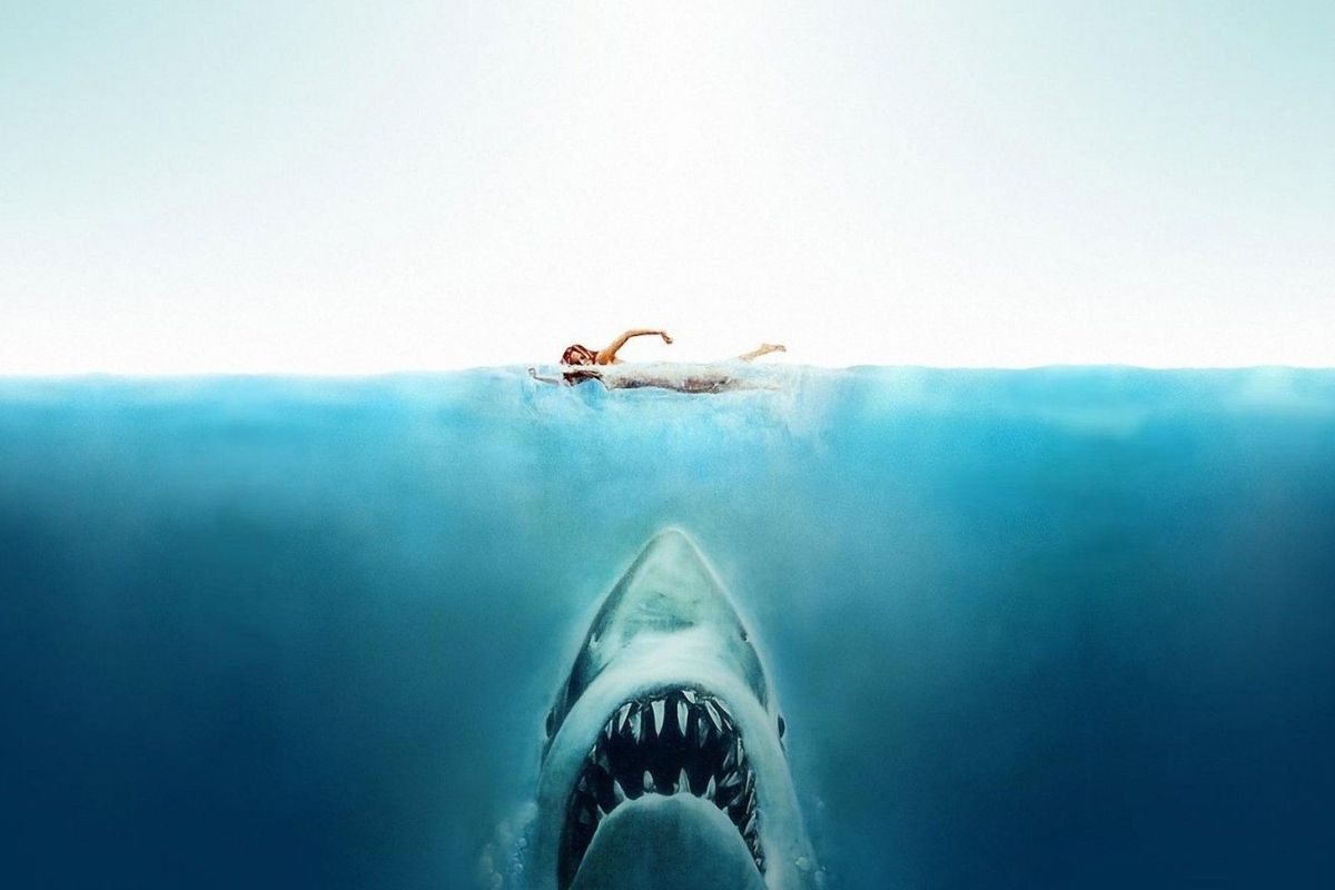 50 Năm Sau, Kỷ Lục Bơi Lội Tại Địa Điểm Quay “Jaws” Nâng Tầm Nhận Thức Về Cá Mập