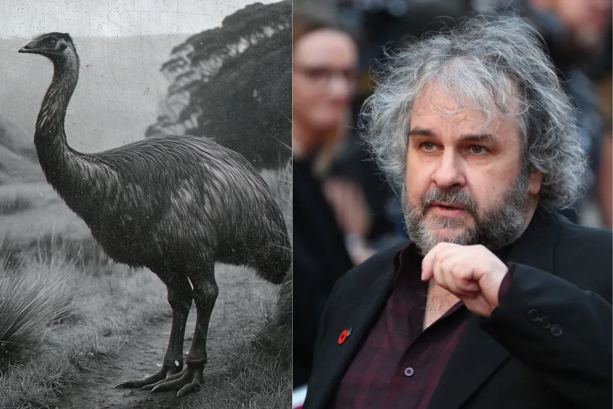 Nhà Làm Phim Peter Jackson Đầu Tư Dự Án Hồi Sinh Chim Khổng Lồ Moa Tuyệt Chủng