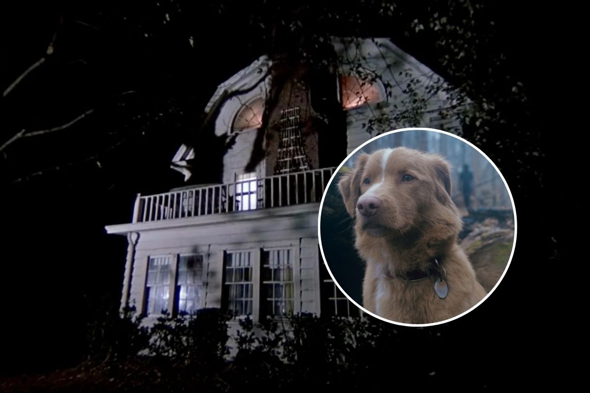 Phim Kinh Dị Mới Với Ngôi Nhà Ma Ám Gây Sốt Sau Khi Trailer Khiến Lượt Tìm Kiếm Google Tăng 2000%