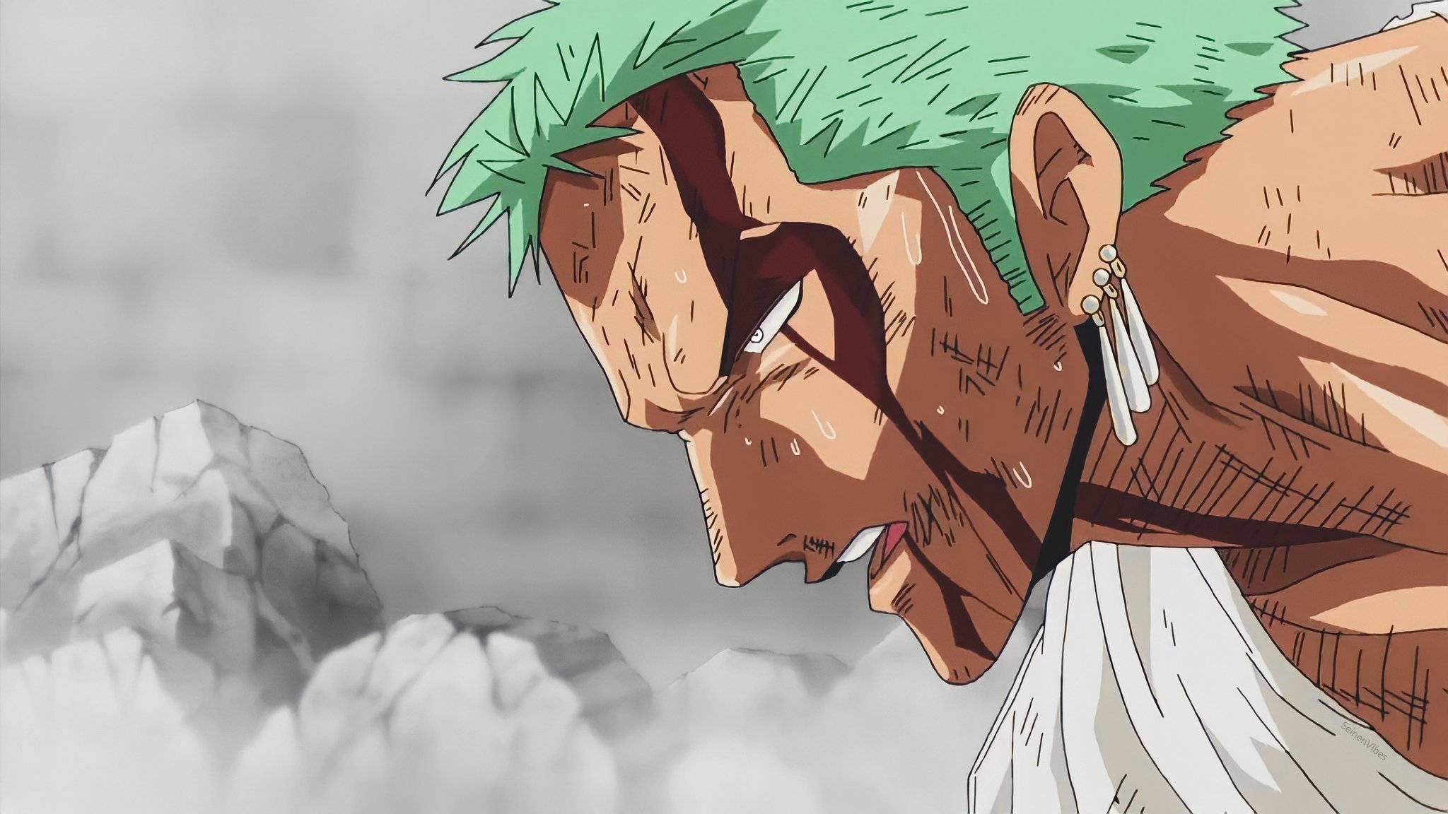 Những hải tặc từng đánh bại Roronoa Zoro trong One Piece