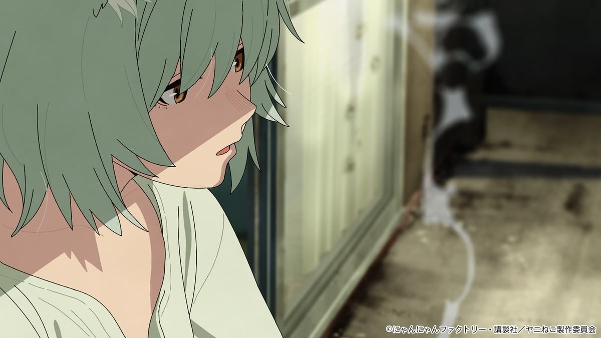 Chainsmoker Cat chính thức được chuyển thể anime, ra mắt tháng 7 năm 2026