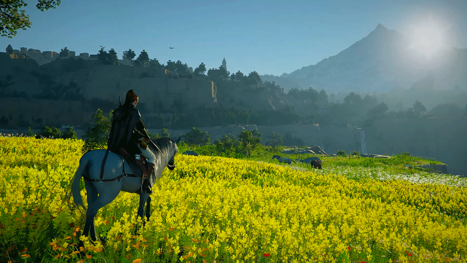 Crimson Desert: Hướng Dẫn Nơi Tìm Ra Và Sở Hữu Những Con Ngựa Huyền Thoại