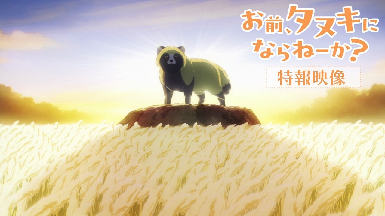 Bỏ lại thế giới mệt mỏi để làm... một chú lửng: Siêu phẩm Anime "Would you like to be a tanuki?" chính thức lộ diện