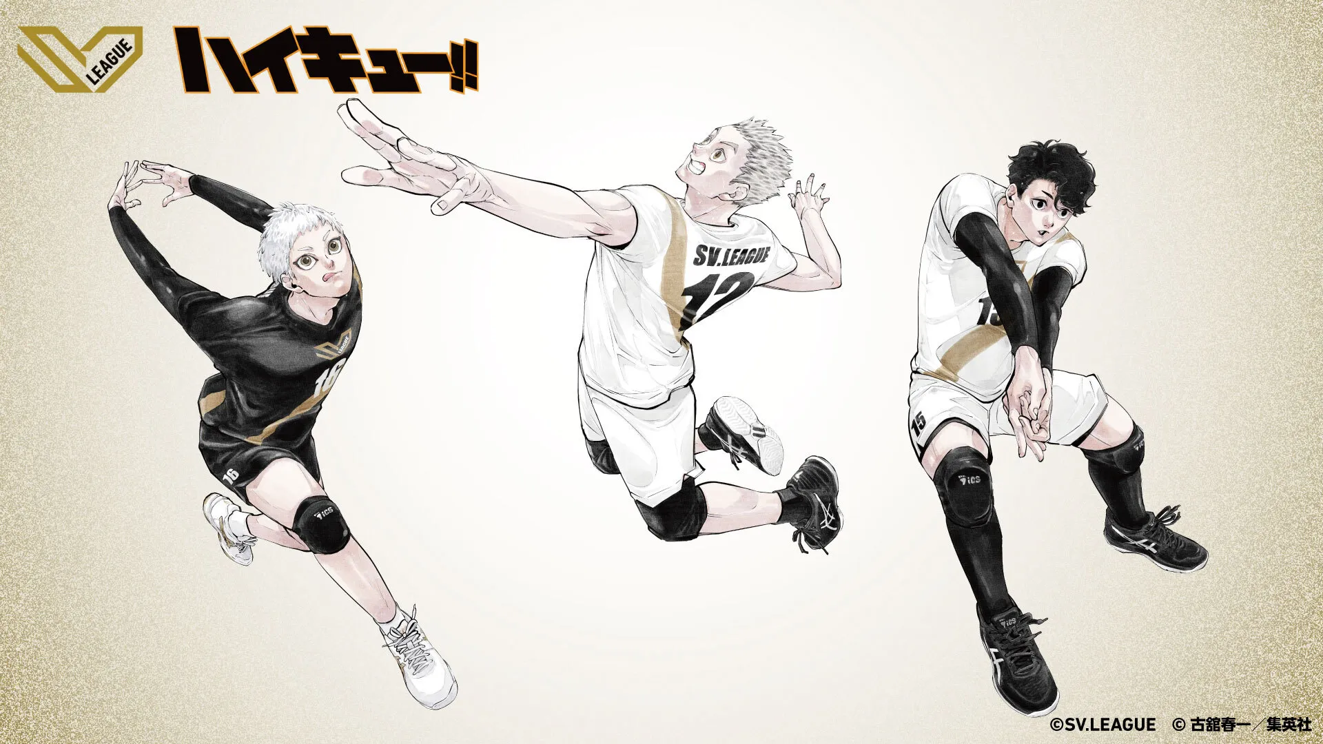 Bùng nổ "Ngày Haikyu!!" 2026: Chốt lịch Movie 2, Anime đặc biệt cùng chuỗi dự án "khủng" càn quét giai đoạn 2026 - 2027