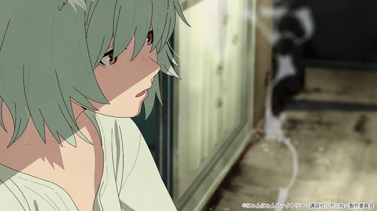 Khán giả Nhật Bản phản pháo luận điểm "Anime không còn làm cho người Nhật": Dẫn chứng "Chainsmoker Cat" và cơn sốt phòng vé "Chiikawa"