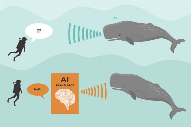 AI đang giải mã ngôn ngữ động vật, con người sẽ có thể nói chuyện với chúng?
